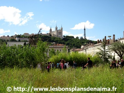 Lyon-Nature-Capitale.jpg