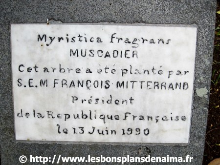 Plaque-Francois-Mitterrand.jpg