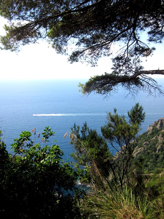 Parc-Naturel-Portofino.jpg