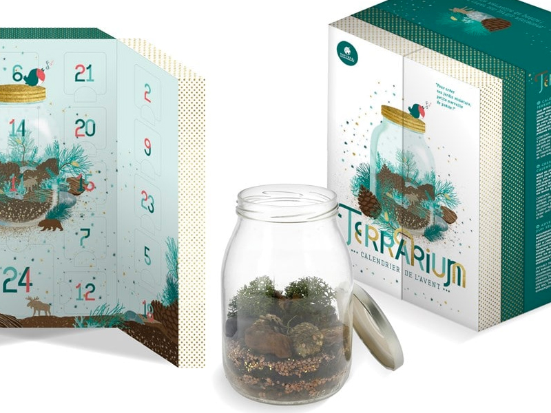 Calendrier de l'avent Terrarium