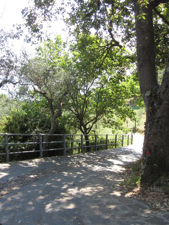 Chemin-Randonnee-Portofino.jpg