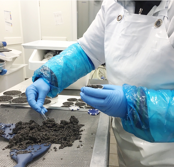 Production-Caviar.jpg