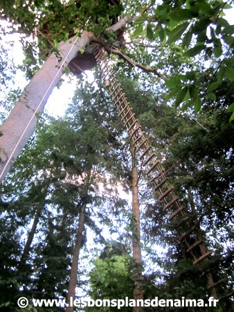 Cabane-19-metres.jpg
