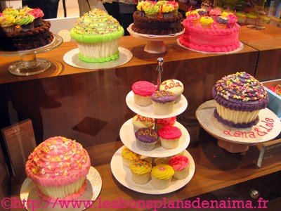 lola-cupcakes-selfridges.jpg