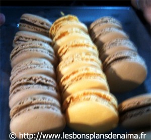 macarons-maison-du-chocolat.jpg