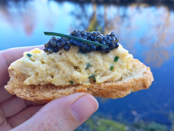 Oeuf-Brouille-Caviar.jpg