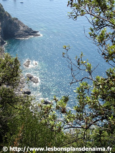 Crique-Parc-des-Cinque-Terre.jpg