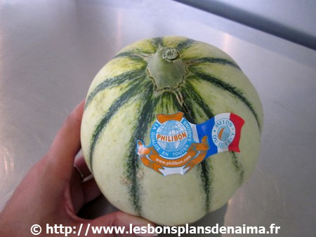 Melon-du-Quercy.jpg