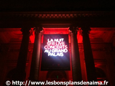 Grand-Palais-Nuit-SFR.jpg