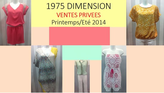 Ventes-Privees-Dimension-2014.jpg