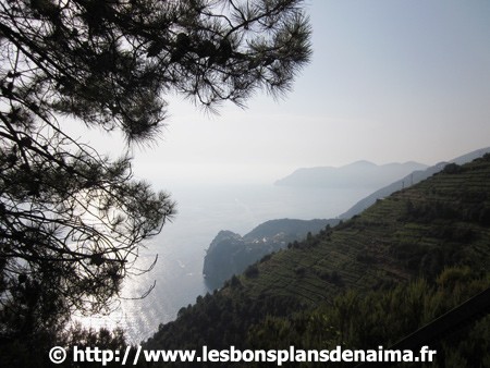 Parc-des-Cinque-Terre.jpg