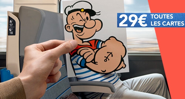 Carte-SNCF-29-Euros.jpg