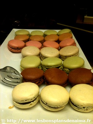 macarons-la-maison-du-chocolat.jpg