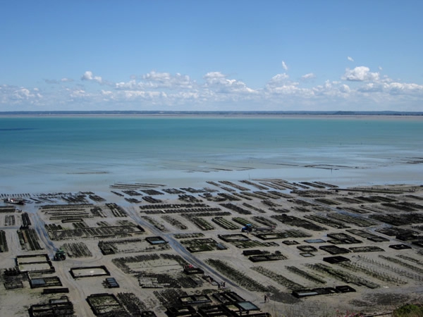 Parcs-A-Huitres-Cancale.jpg