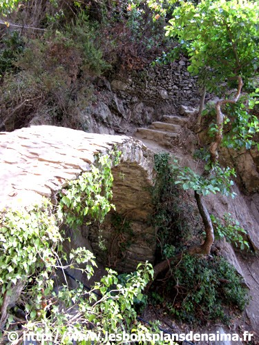Chemin-Parc-des-Cinque-Terre.jpg