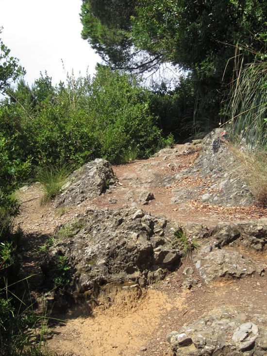 Randonnee-Portofino.jpg
