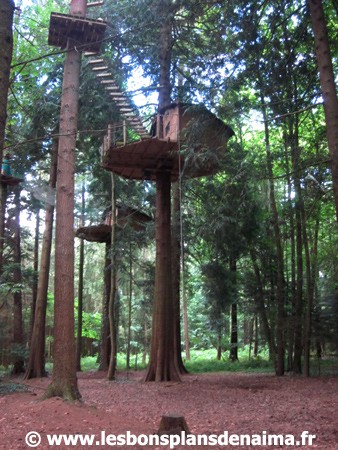 Cabane-dans-les-arbres.jpg