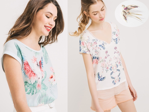 T-Shirt-Perroquet.jpg