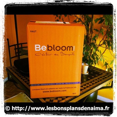 Carton-Bebloom.jpg