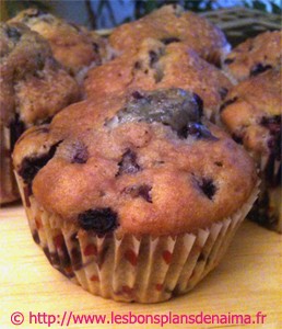 muffins-aux-myrtilles.jpg