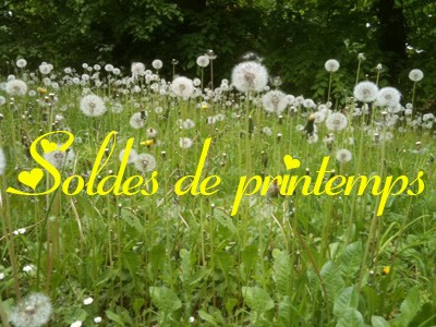 Soldes-de-printemps.jpg