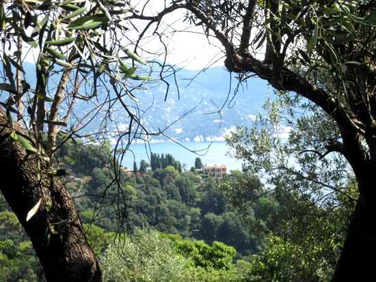 Baie-de-Portofino.jpg