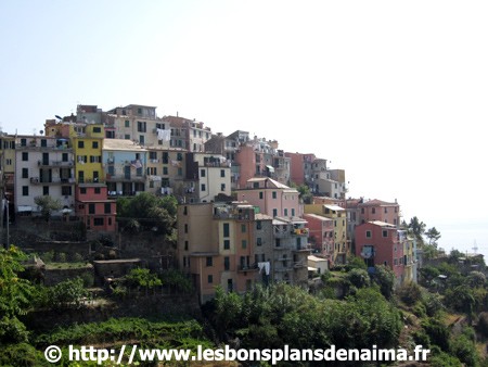 Corniglia.jpg