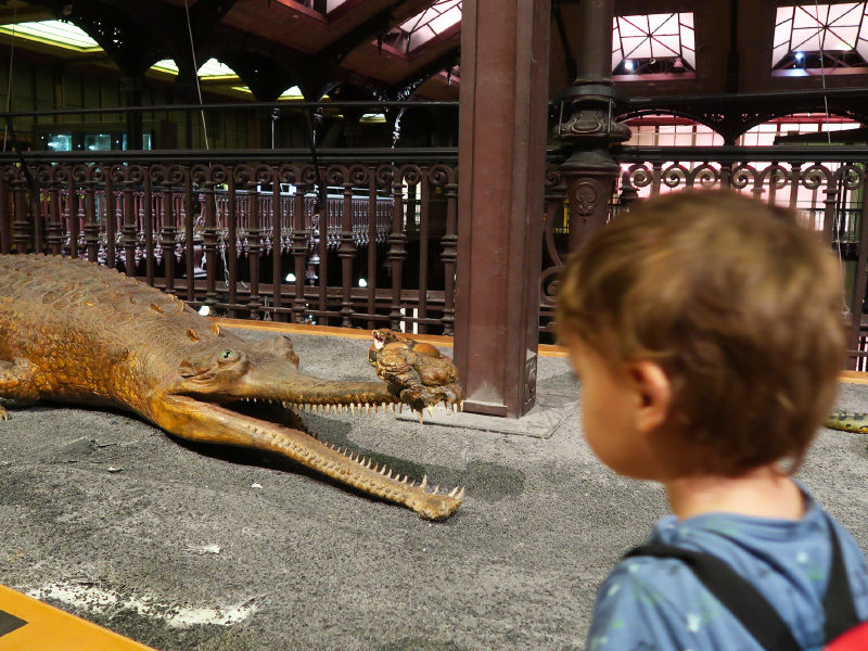 Nuit des Musées avec les enfants