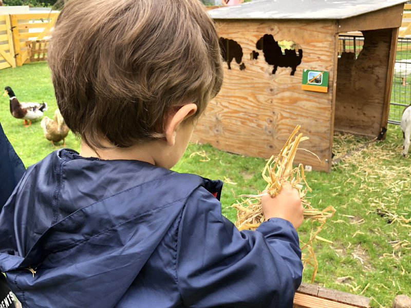 Idées sorties vacances de la Toussaint 2018