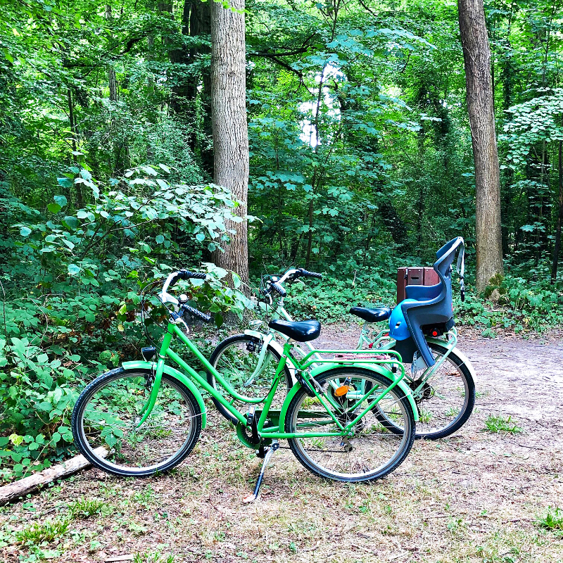 Location vélo Paris 19