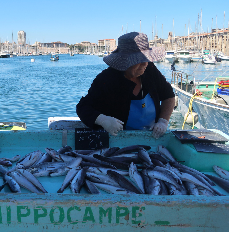 Marché aux poissons Vieux port de Marseille