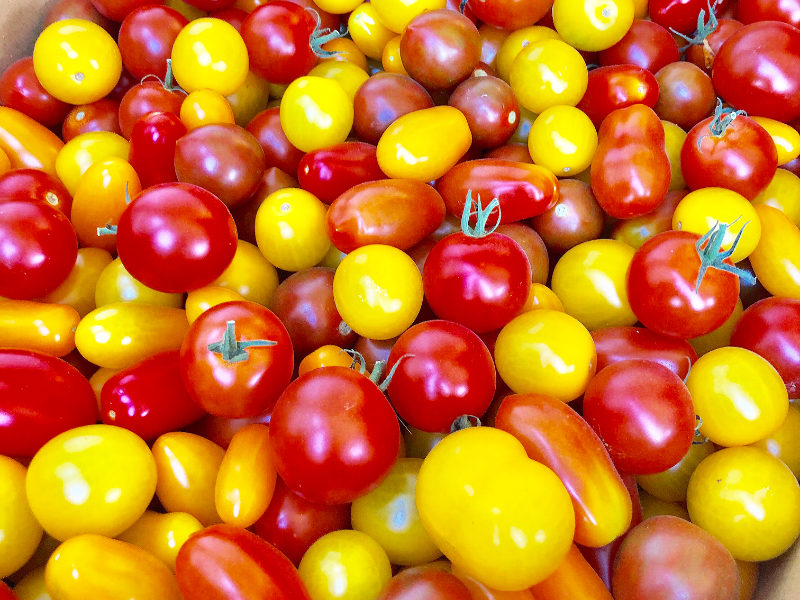 Tournée Tomates de France