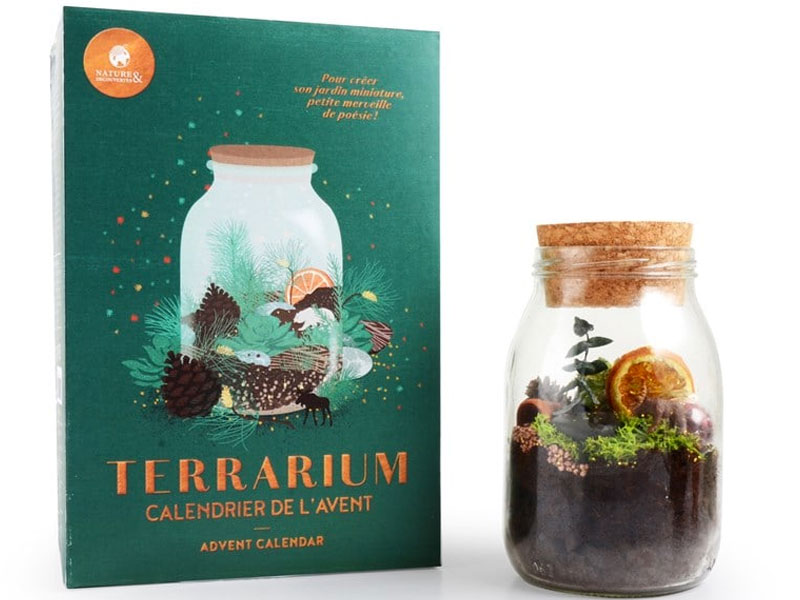 Calendrier de l'avent Terrarium