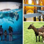 Sorties à Paris en famille