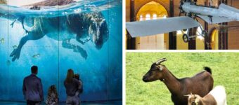 Sorties à Paris en famille