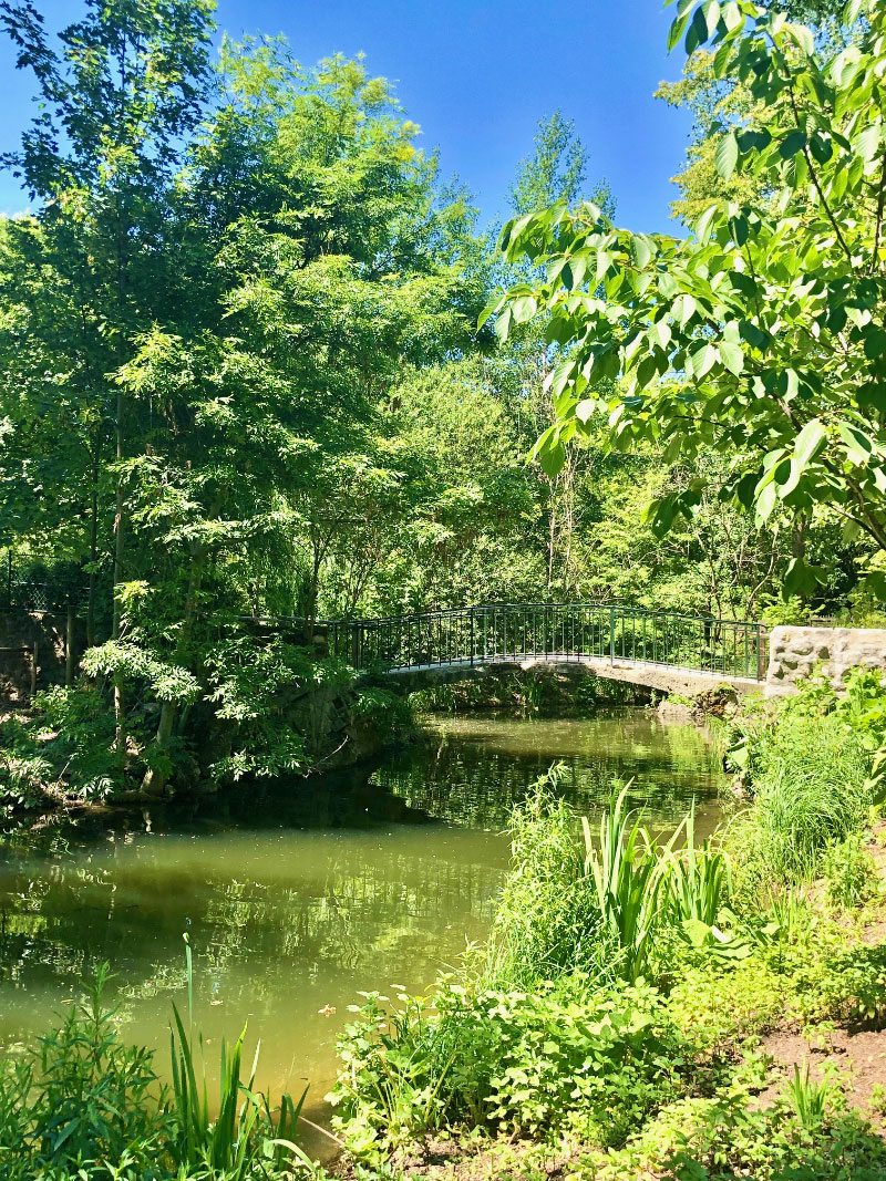 Jardin d'acclimatation