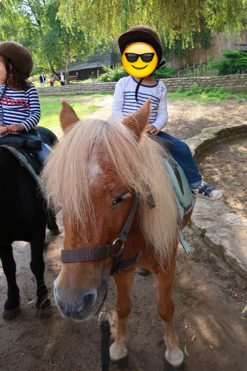 Balade en poney