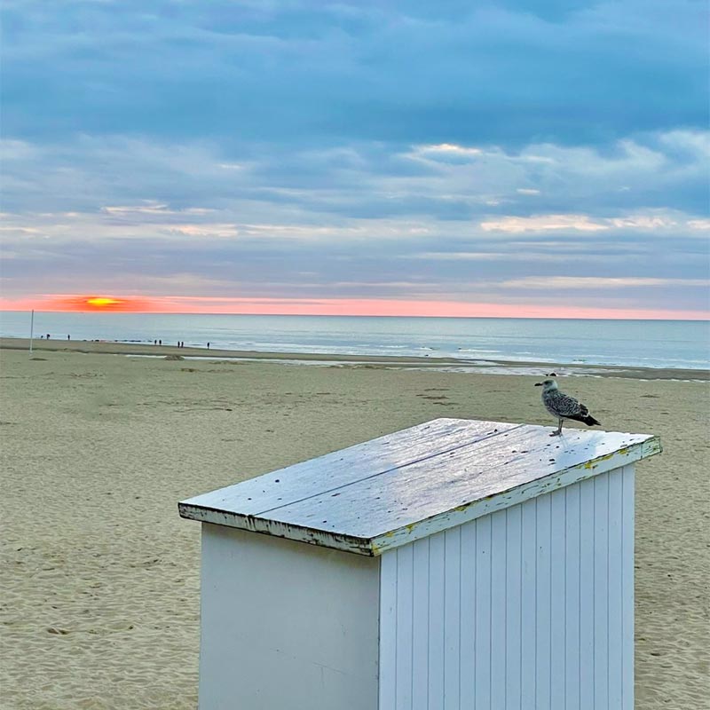 Week-end Ostende