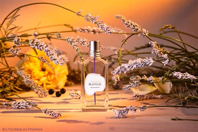 Avis parfum lavande blanche L'Occitane en Provence