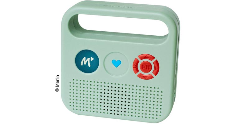 Avis enceinte Merlin