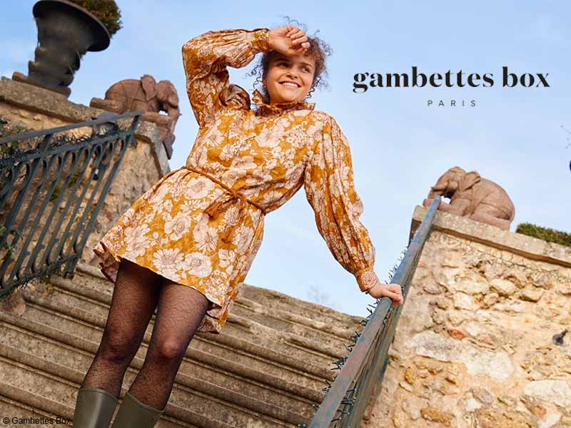 Gambette Box avril 2024