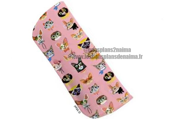 Etui à lunettes