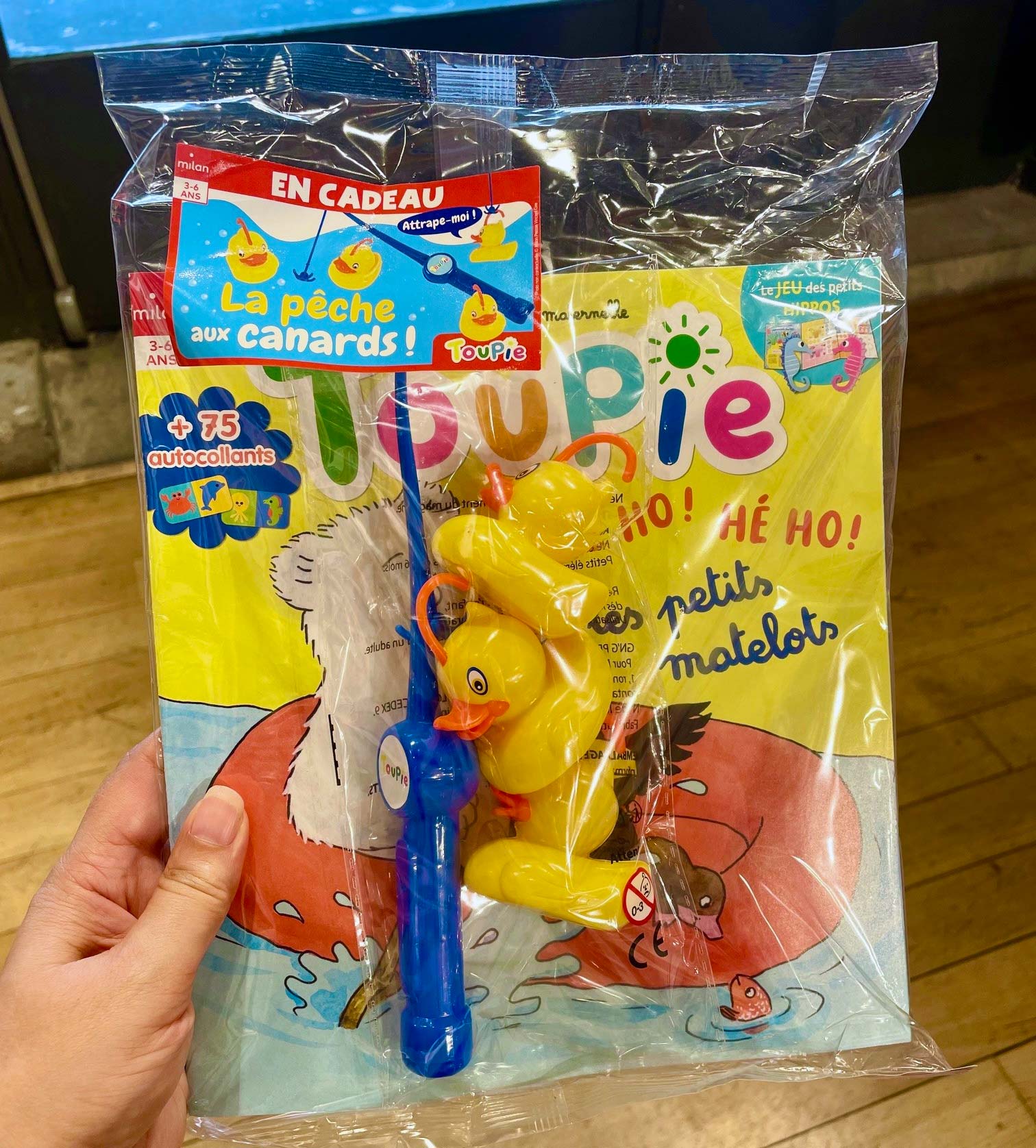 Jouet pêche aux canards