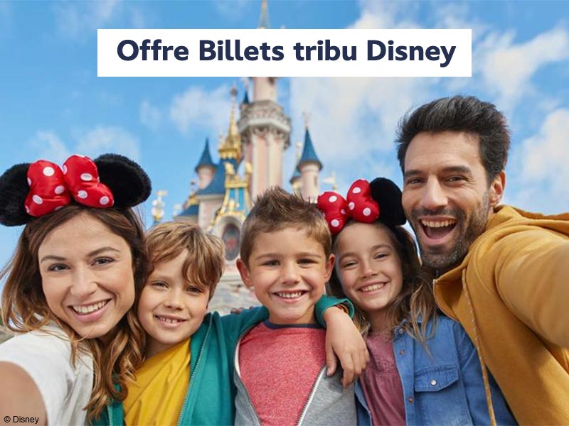 Billet Tribu Disney