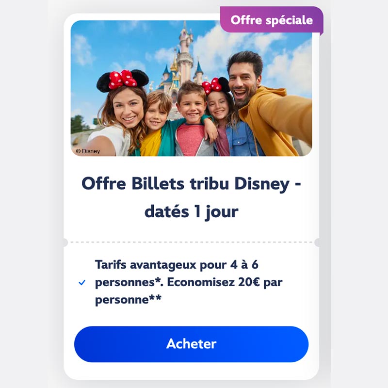 Billet Tribu Disneyland Paris