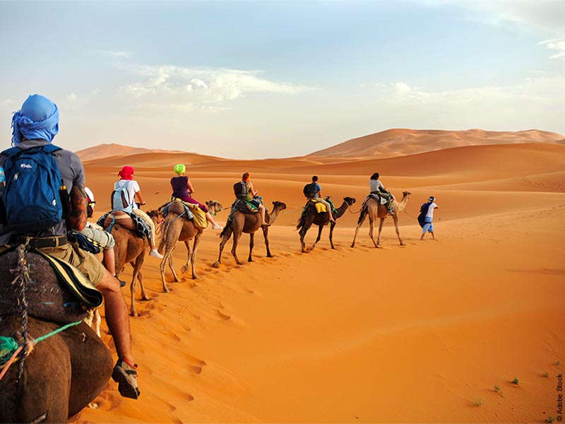 Désert marocain