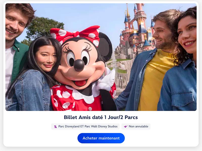 Billet Amis Disney en ligne​