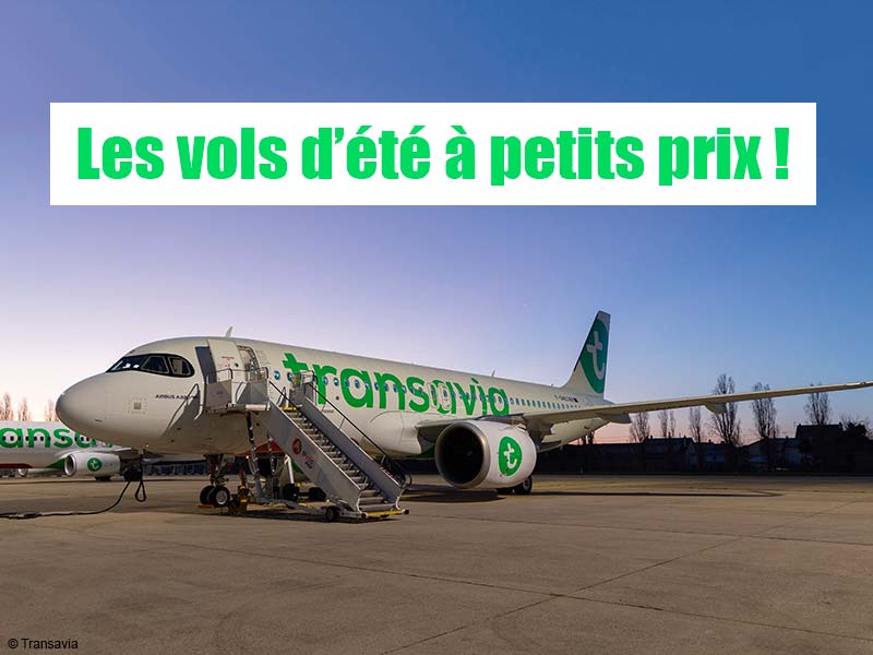 Ouverture vol Transavia été 2026