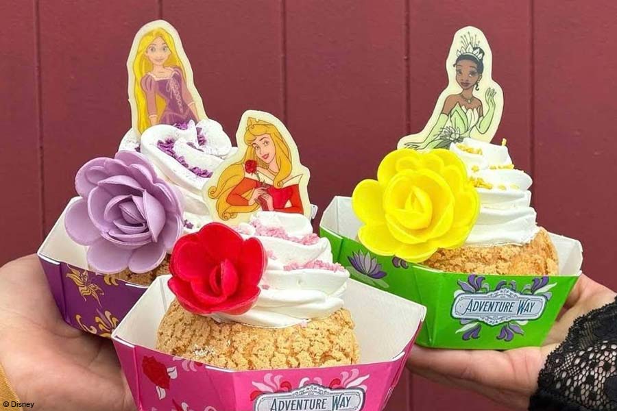 Choux Princesses Disney